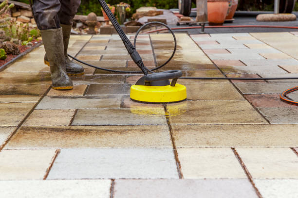 Best Roof Washing  in Owingsville, KY